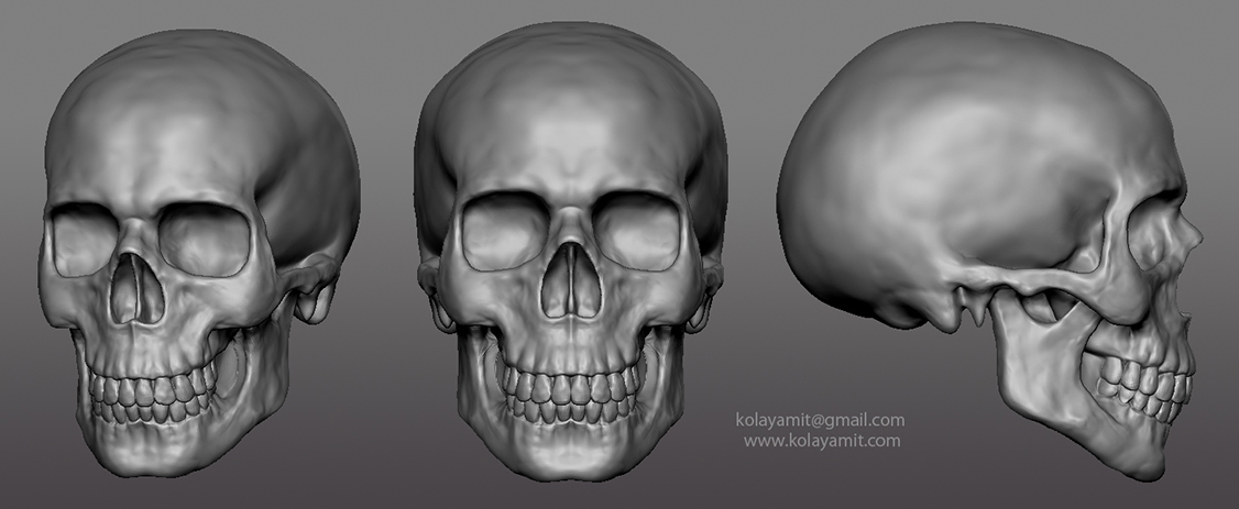 Skull_study_v1_CharacterStrip26.jpg