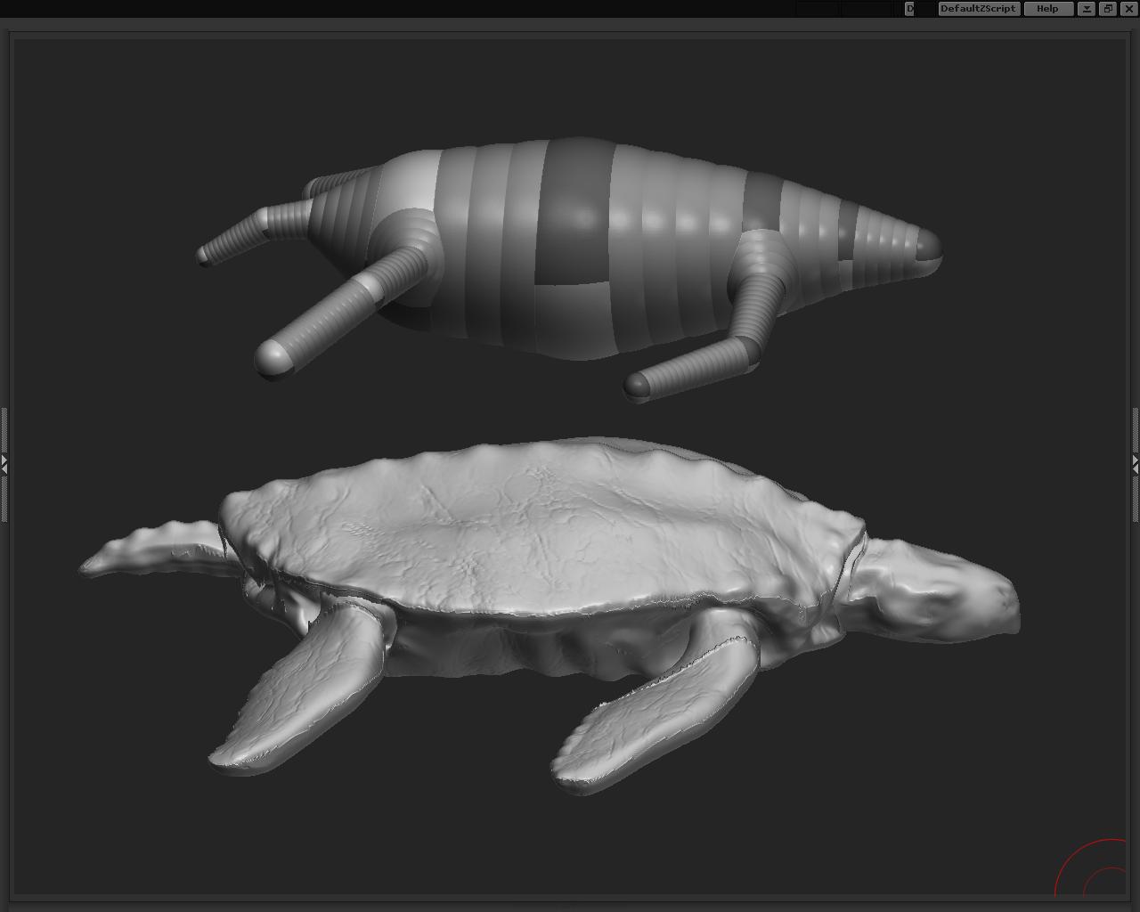 sea turtle zsphere comparison.JPG