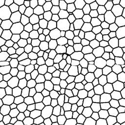 Pattern.jpg