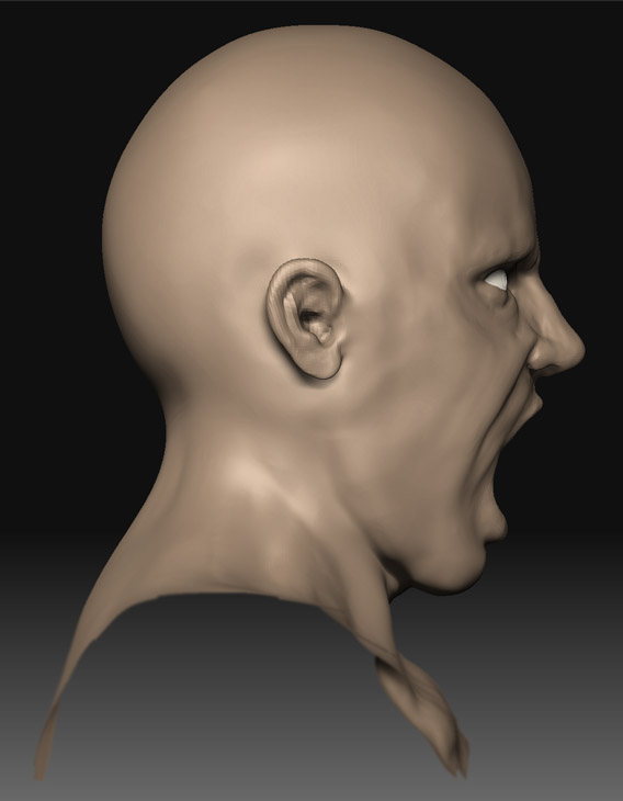 head_side_1.jpg