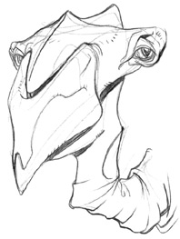 halloheads27.jpg