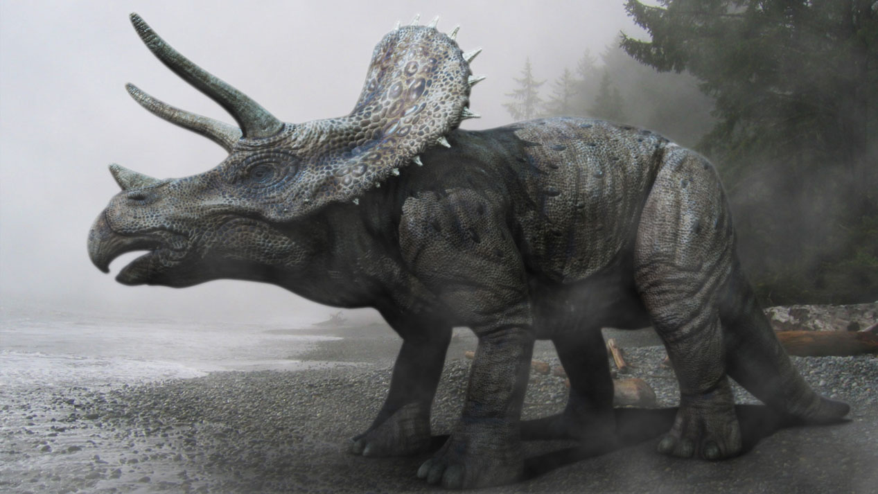 Triceratops_Zbrush.jpg