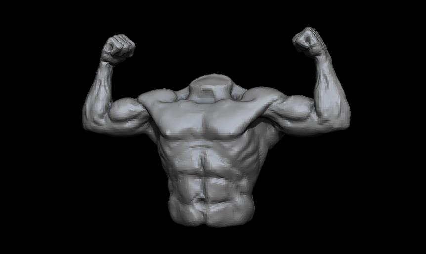 torso.jpg