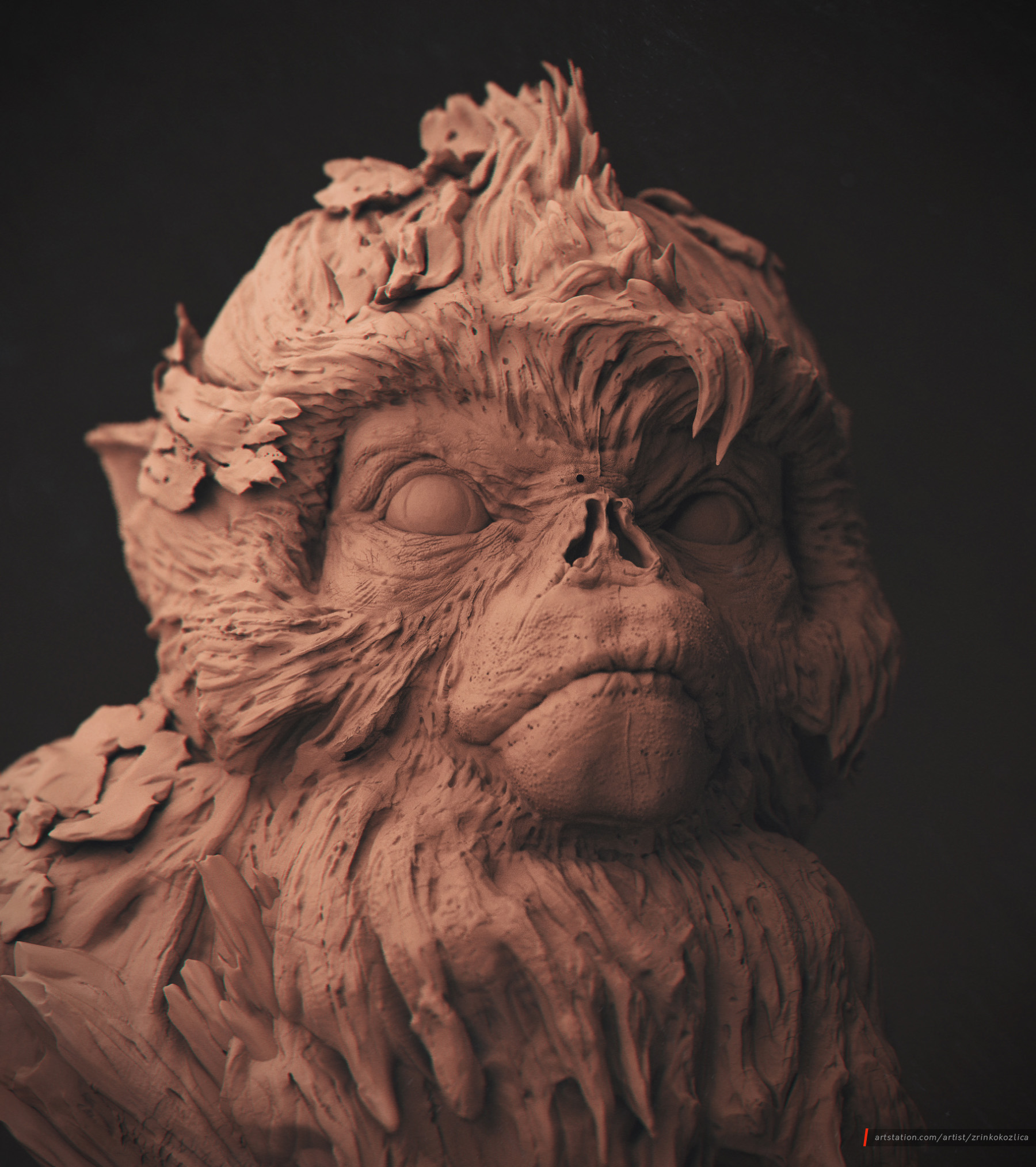 MonkeyShot08_Beauty.jpg