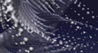 spiroBlob-zm1.jpg