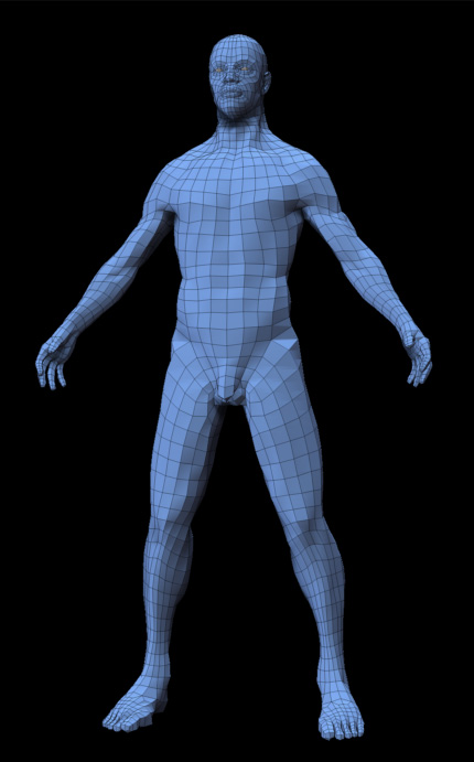 anatomy_study_base_mesh-12-.jpg
