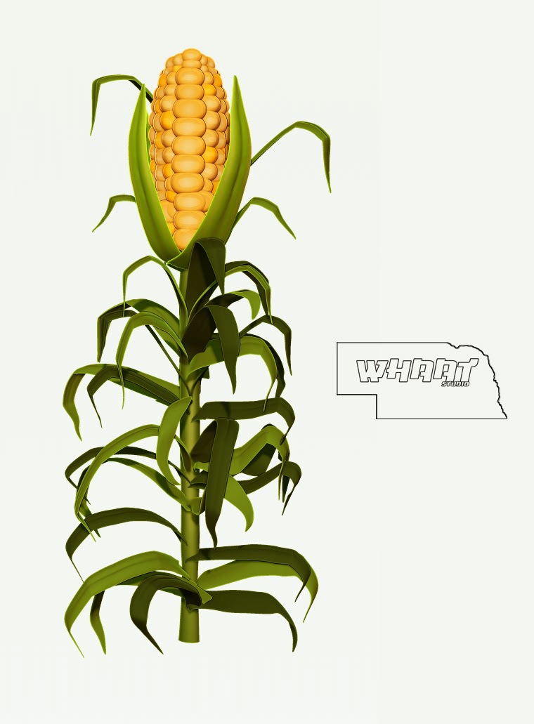 CORN 5 .jpg