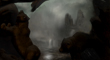 GRIZZLY FALLS 26.jpg