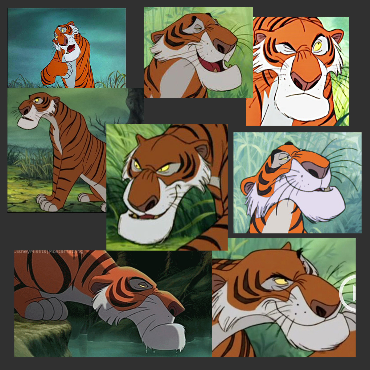 shere_kahn_refs.jpg