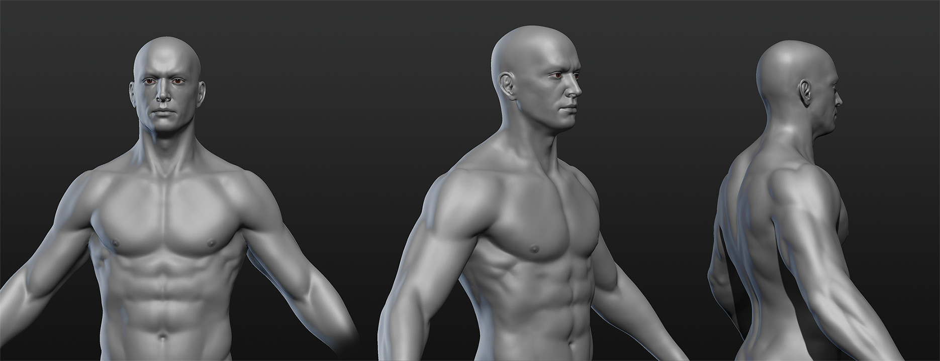 stefan-polster-torso.jpg