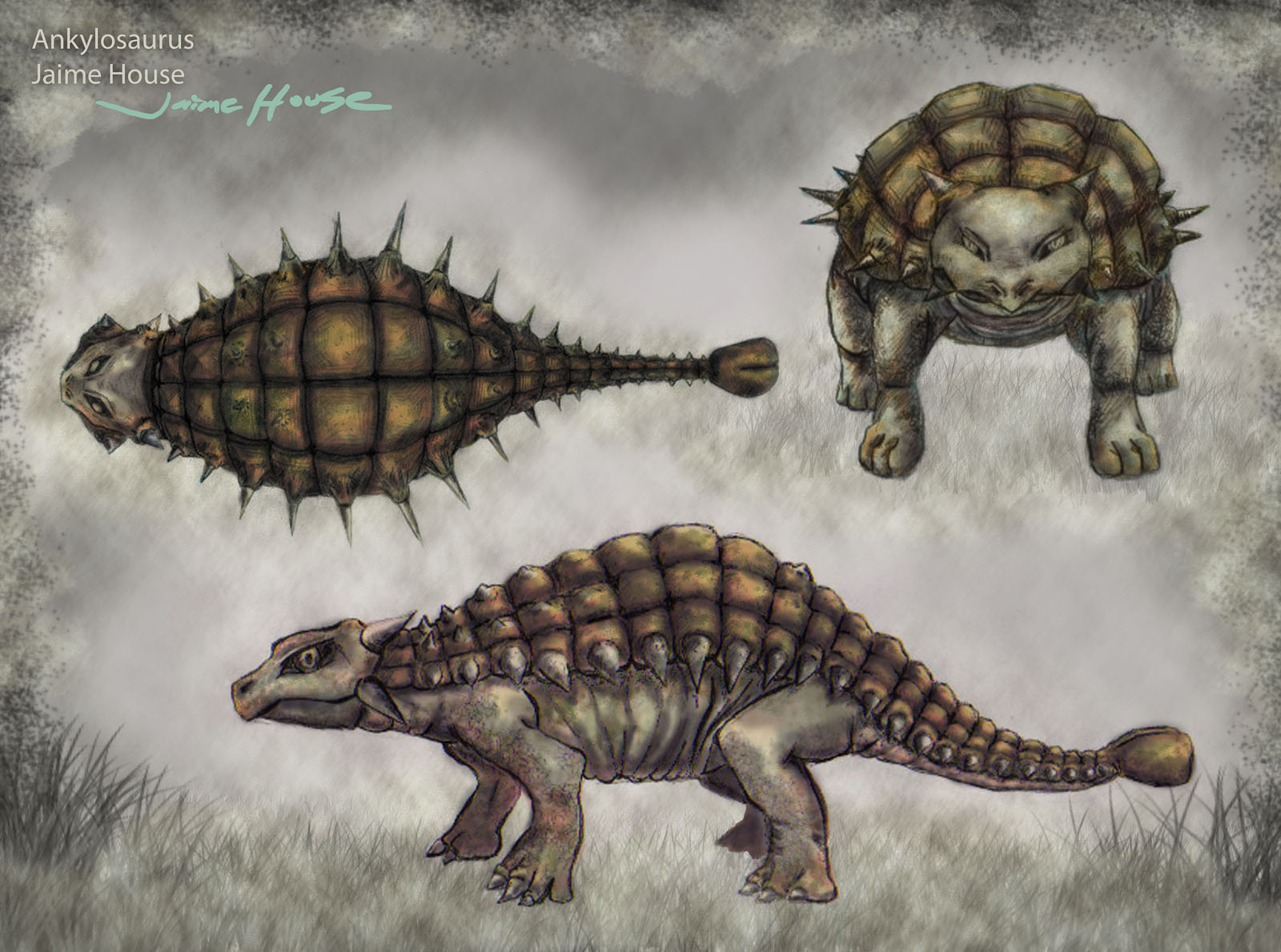 ZCHouse_Jaime_ankylosaurus_turnaround.jpg