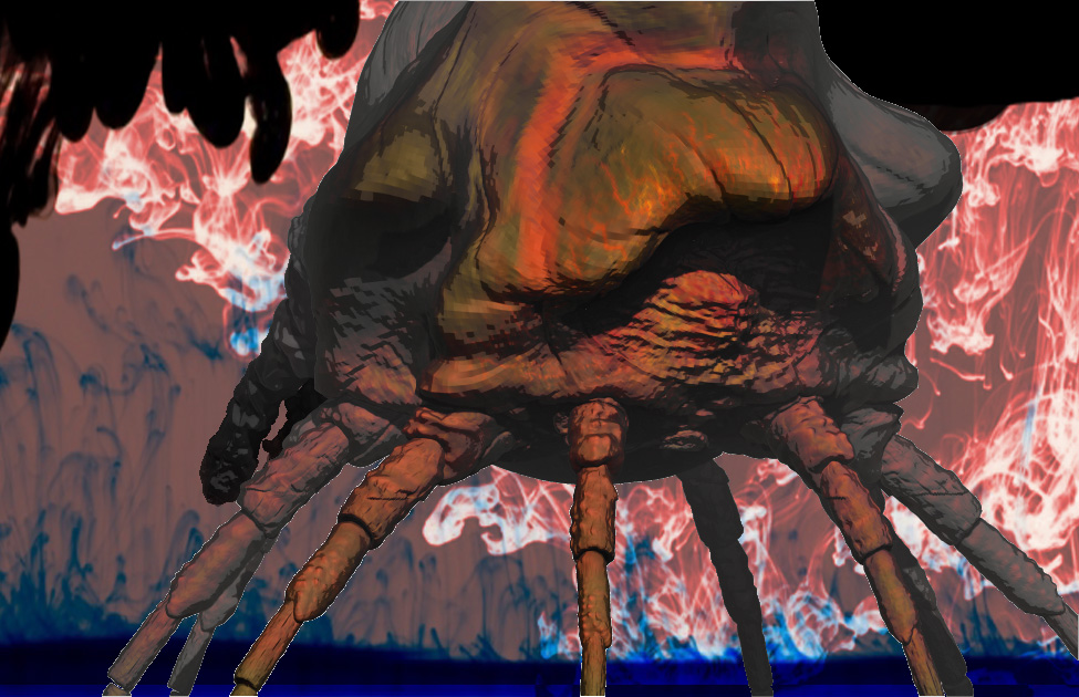 Back.jpg