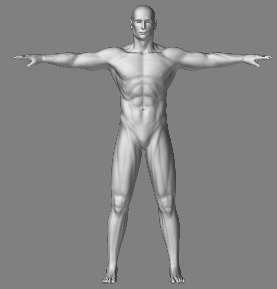 MaleCharacterFront_05.jpg