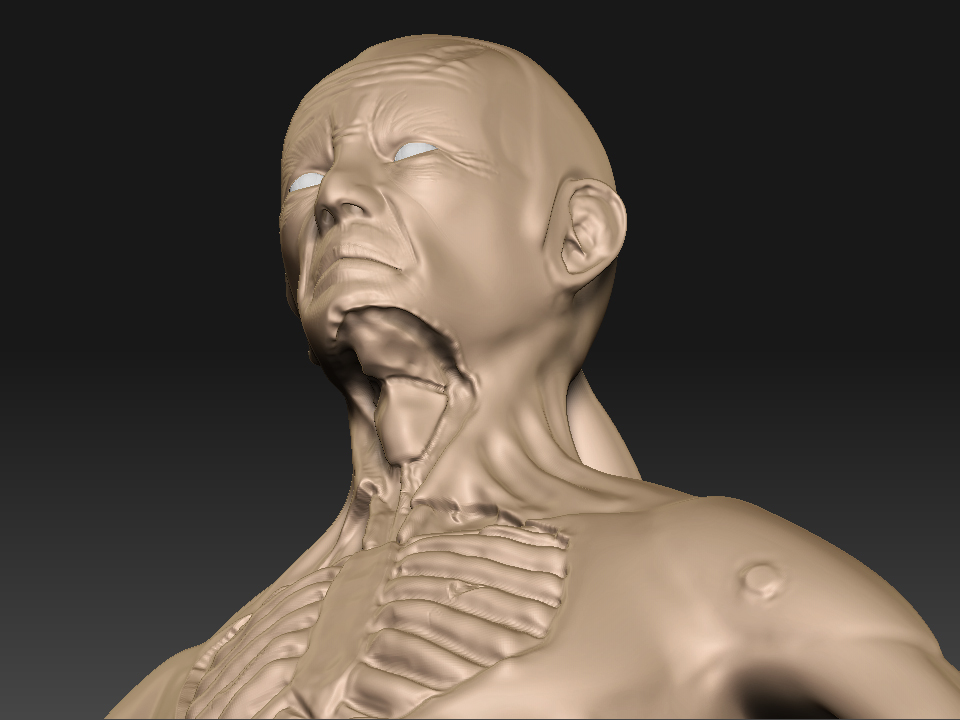 Open-Throat.jpg
