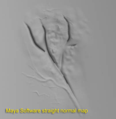 skin_normal3.jpg
