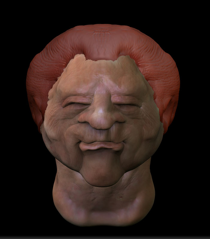 NEW FACE 6.jpg