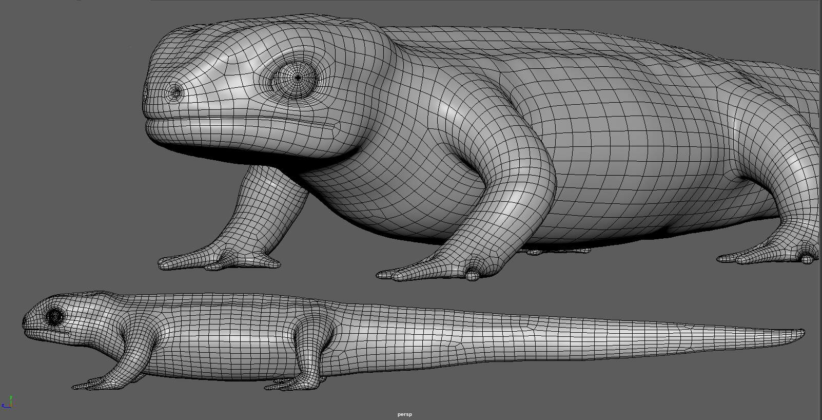 salamander01