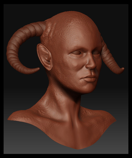 face_17_side_1 copy.jpg