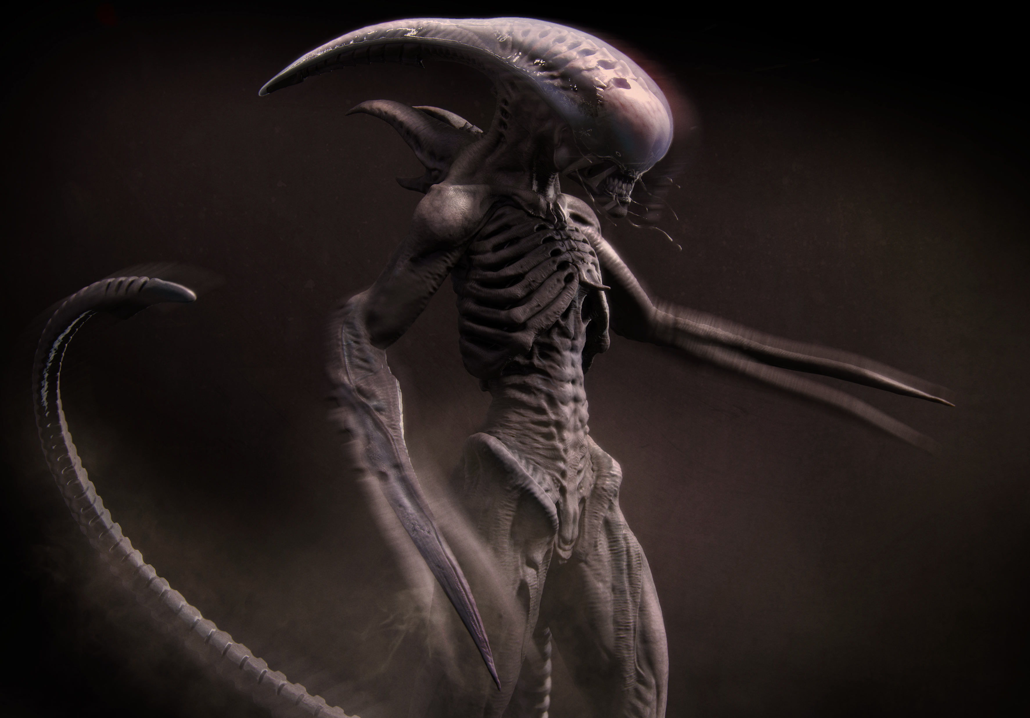 Slashermorph_01_zCentral.jpg
