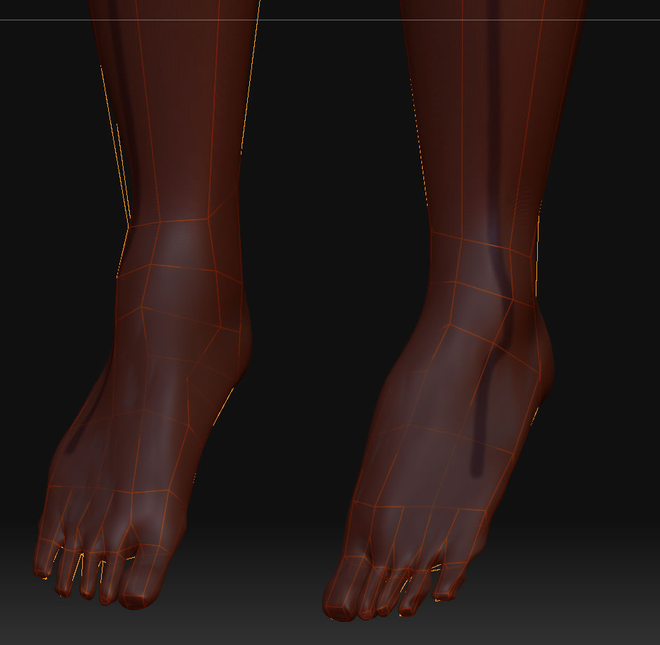 feet_retopo.jpg