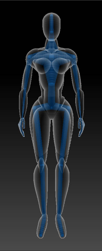 FemaleZsketch2-Rig.jpg