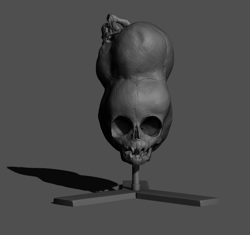 Boy-of-Bengal_Zbrush-02.jpg