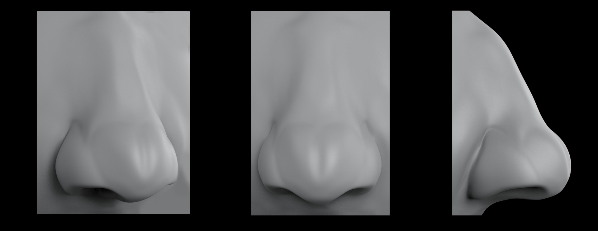 nose_study.jpg
