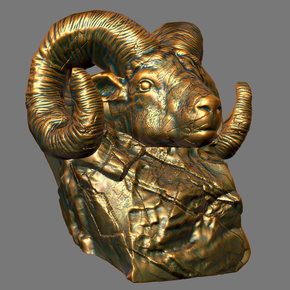 animal2