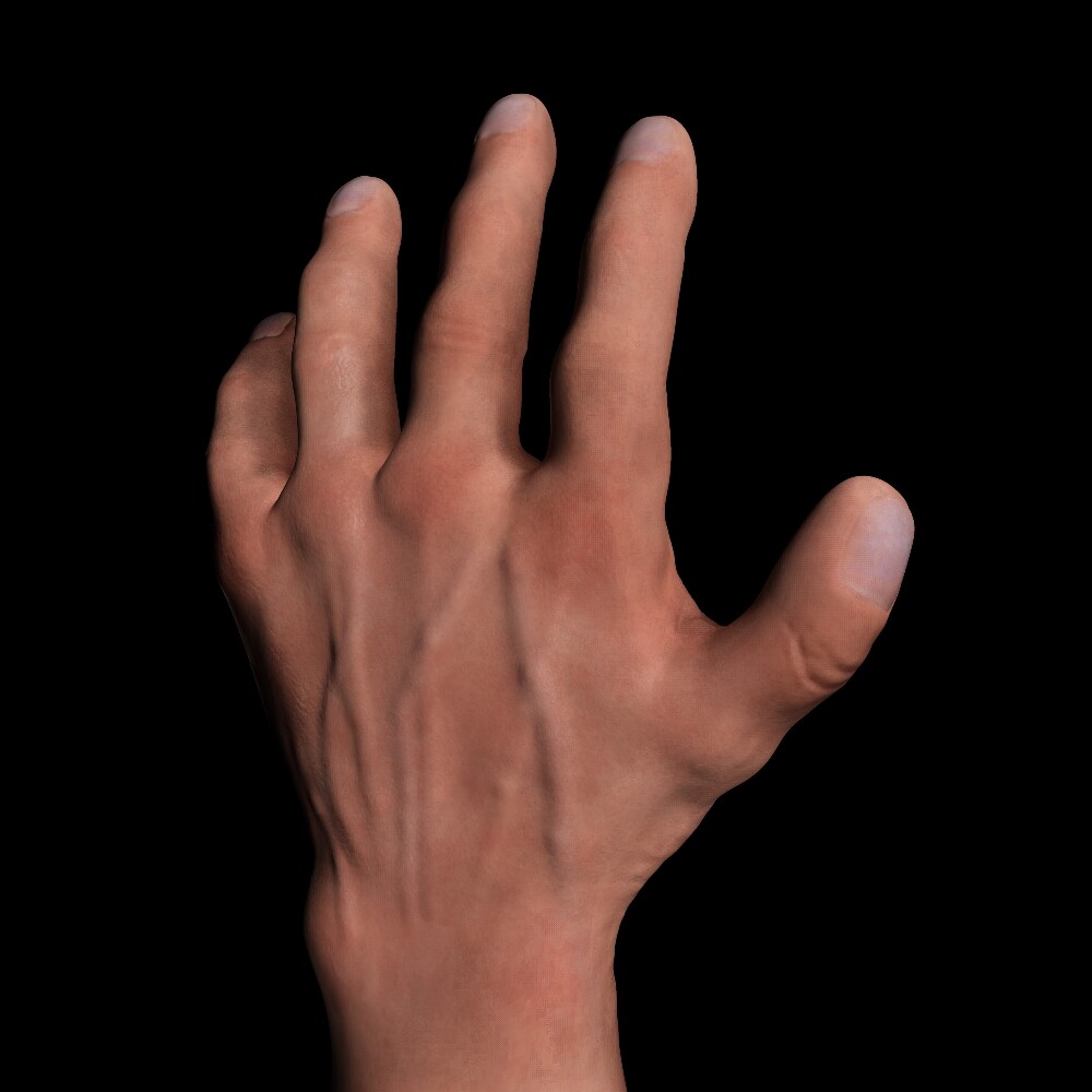 2_.jpg