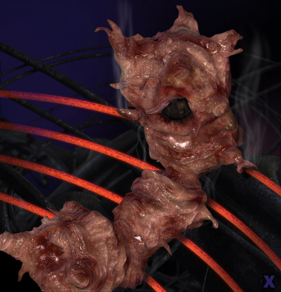 fleshy-worm-1.jpg