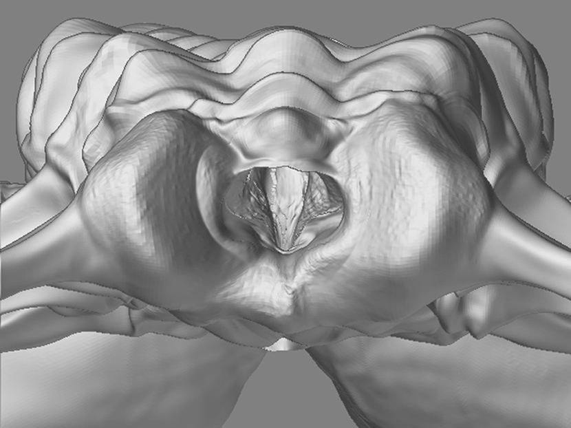 Face Hugger Mesh1.jpg