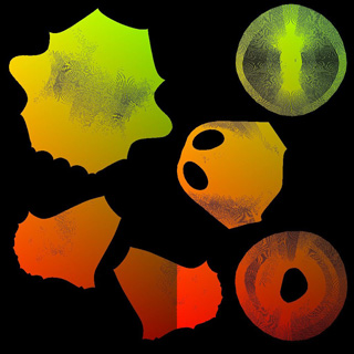 texturetouv.jpg