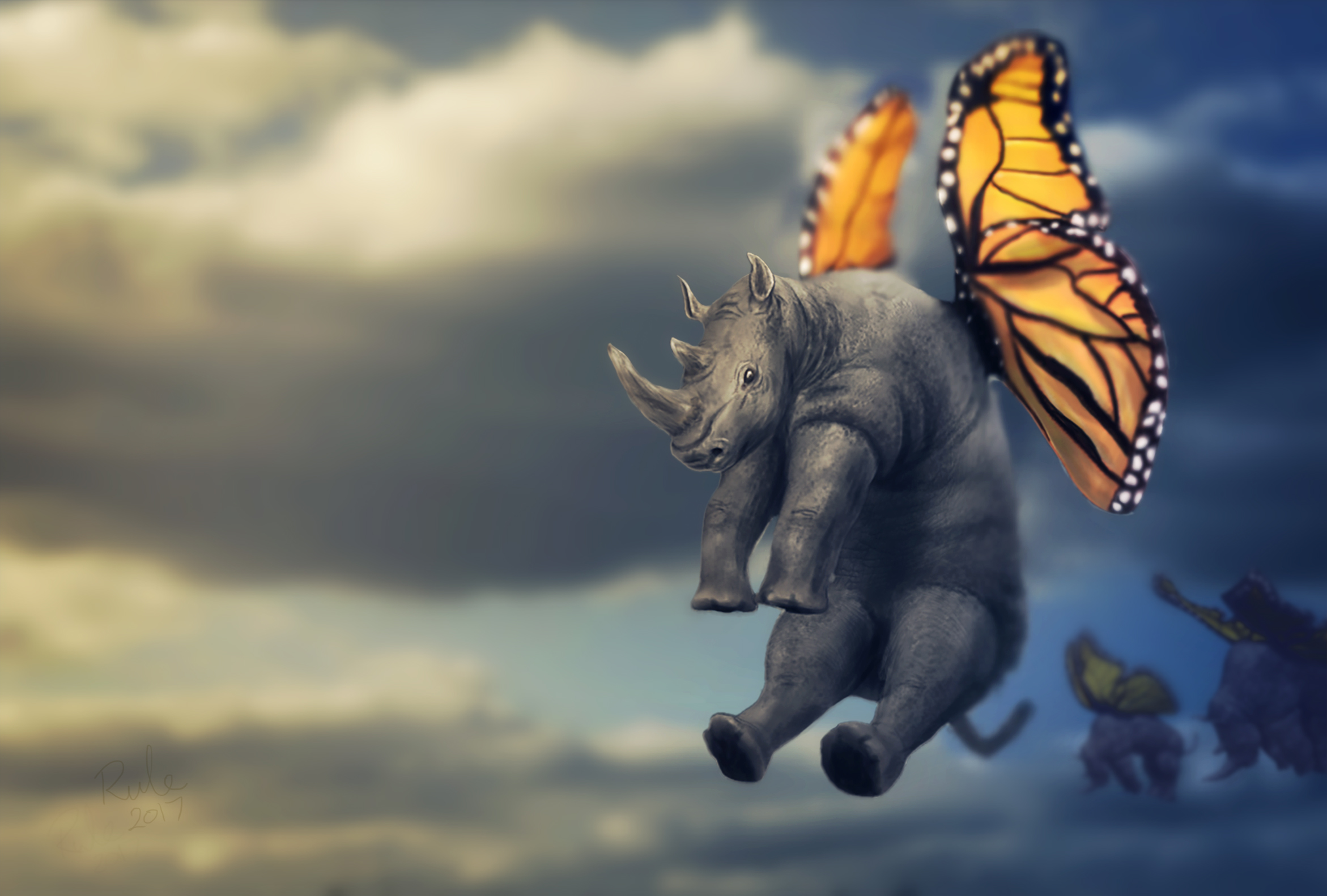 Rhinofly.jpg