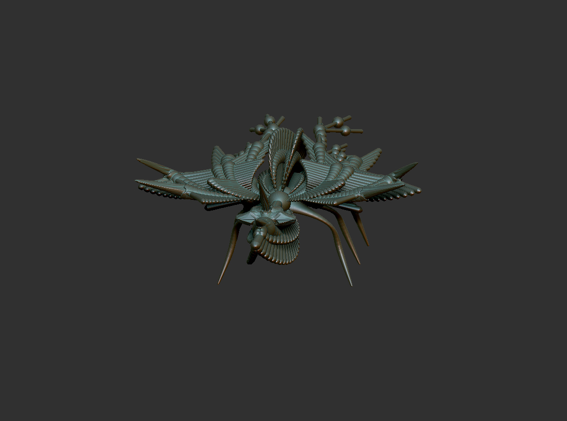 fly.jpg