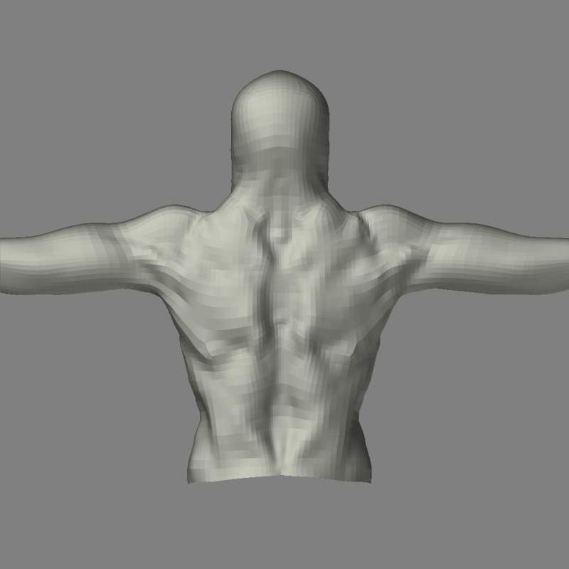 TorsoSculpt01.jpg