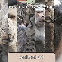 B_collect_02_Animal_01_inet.jpg