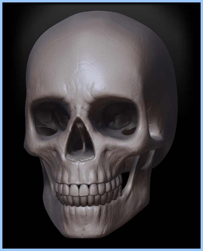 SPI_SKULL_001.jpg
