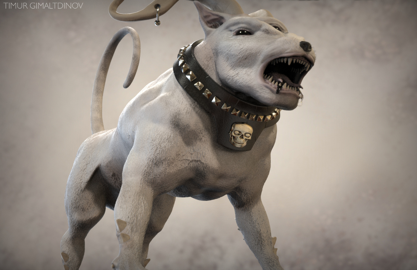 Cerberus-Вьюсет 17.60.jpg