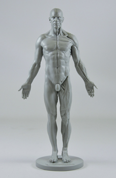 3d_product.jpg