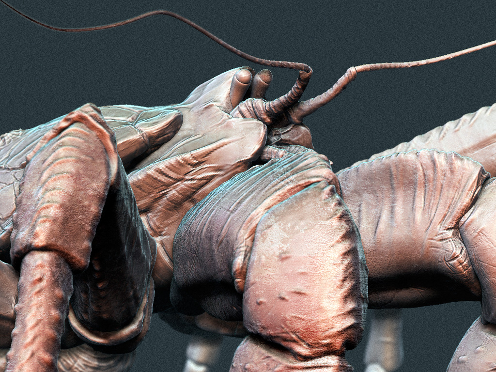 coconut_crab_sr_03.jpg