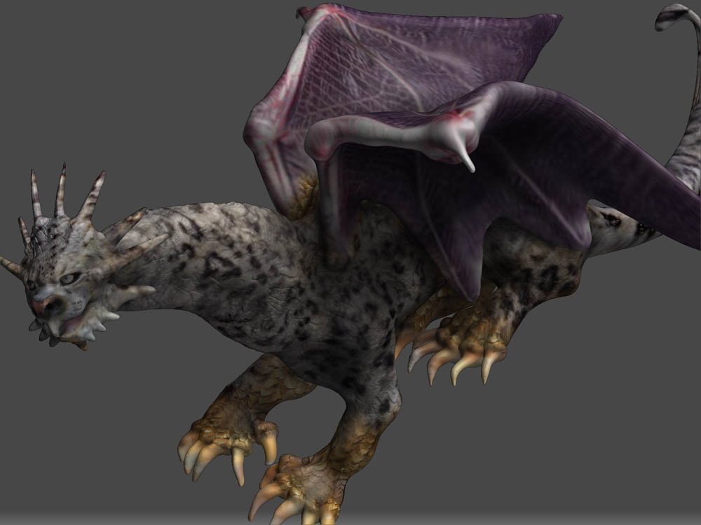 DRAGON SPOTLIGHT 22.jpg