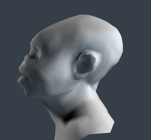 SoftHead.jpg