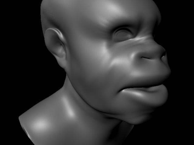 head.jpg