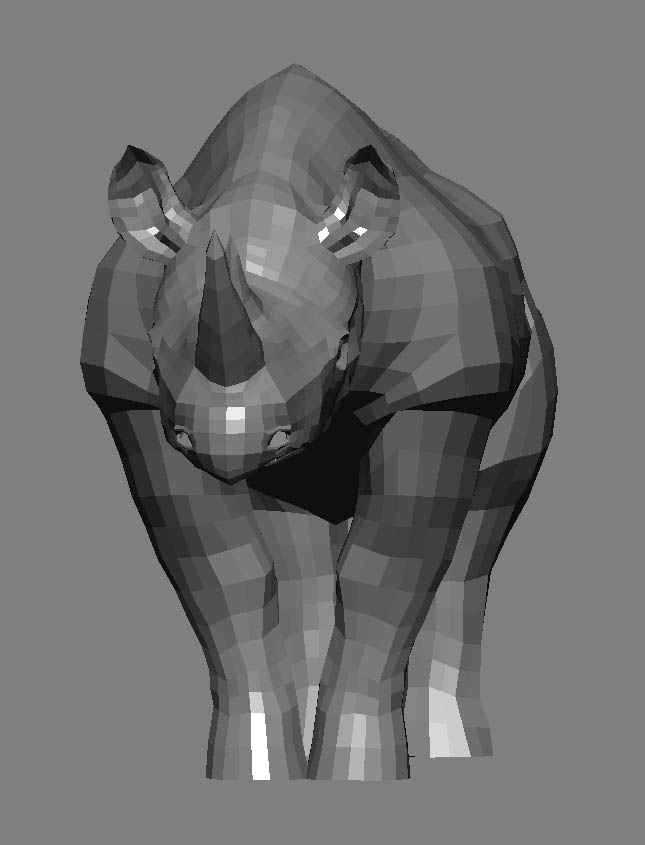 rhino wire front.jpg