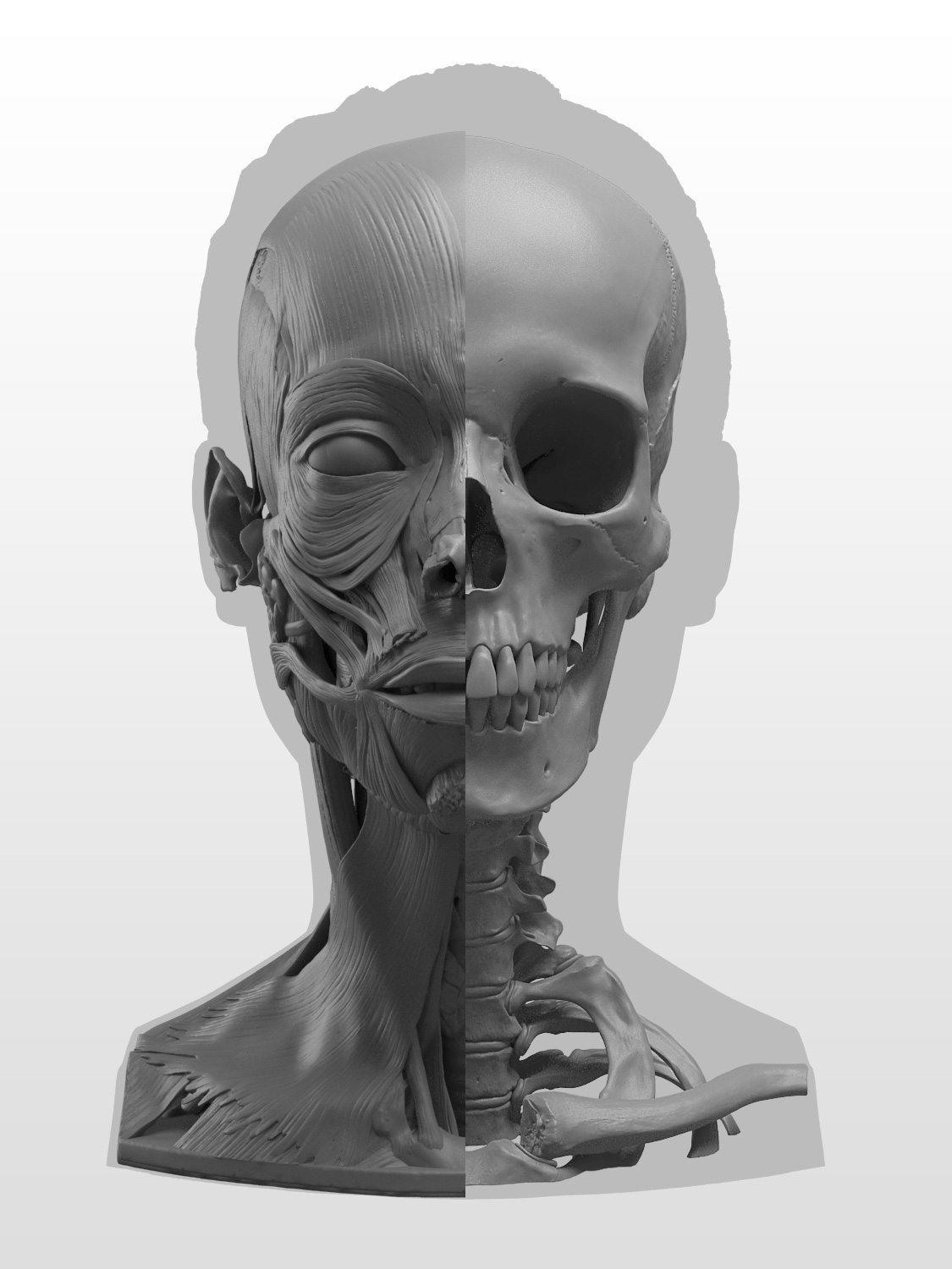 render3.jpg