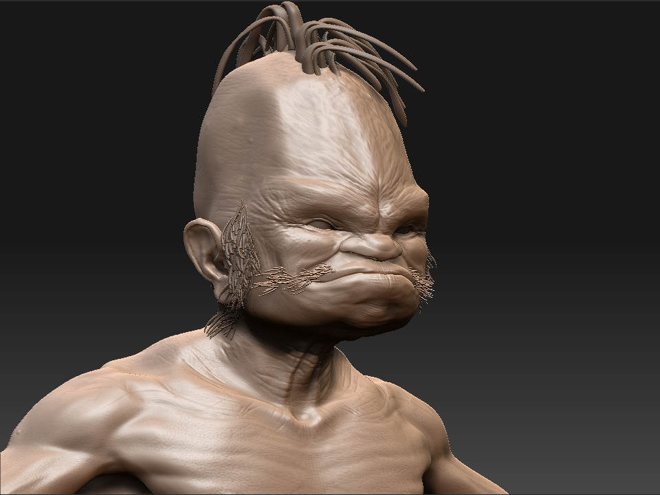 wanderer_alone_close up.jpg