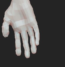 hand_toplogy.JPG