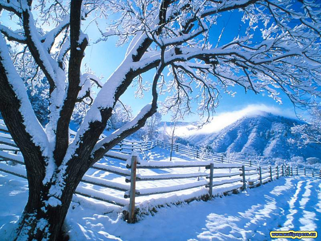 winter-landscape-pictures.jpg