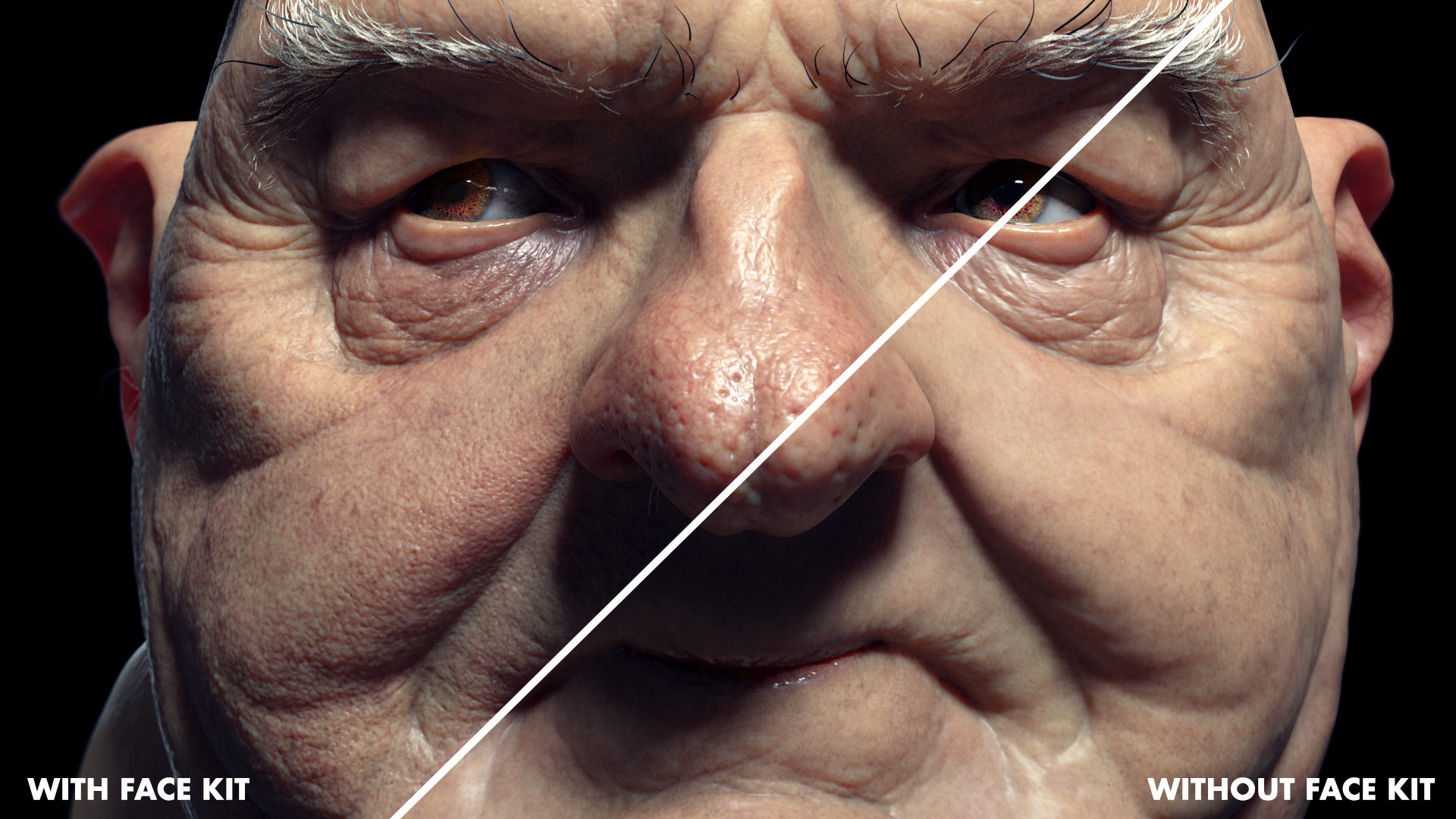 FlippedNormals Face Kit - New Alpha Kit for Faces - ZBrushCentral