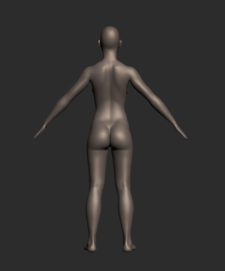 rearview.jpg